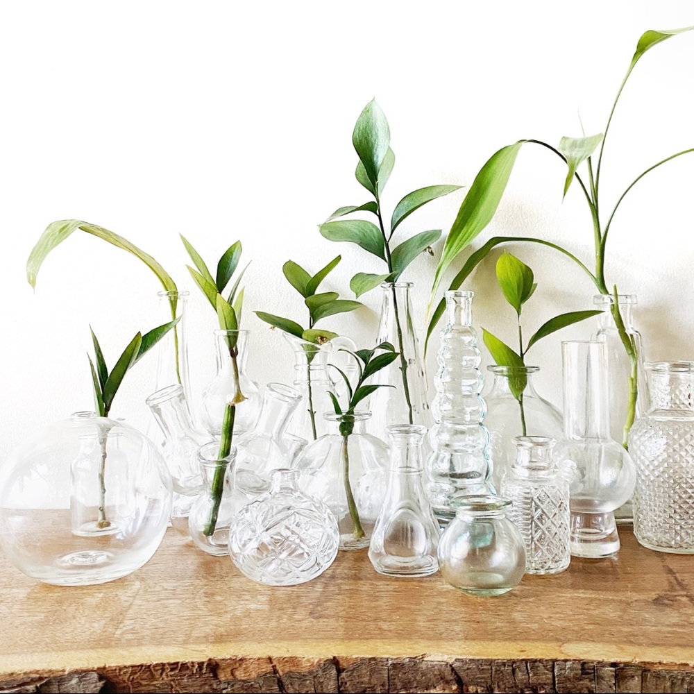 Vintage Mini Clear Glass Jar Vase Plant Propagation - Picture 6 of 8